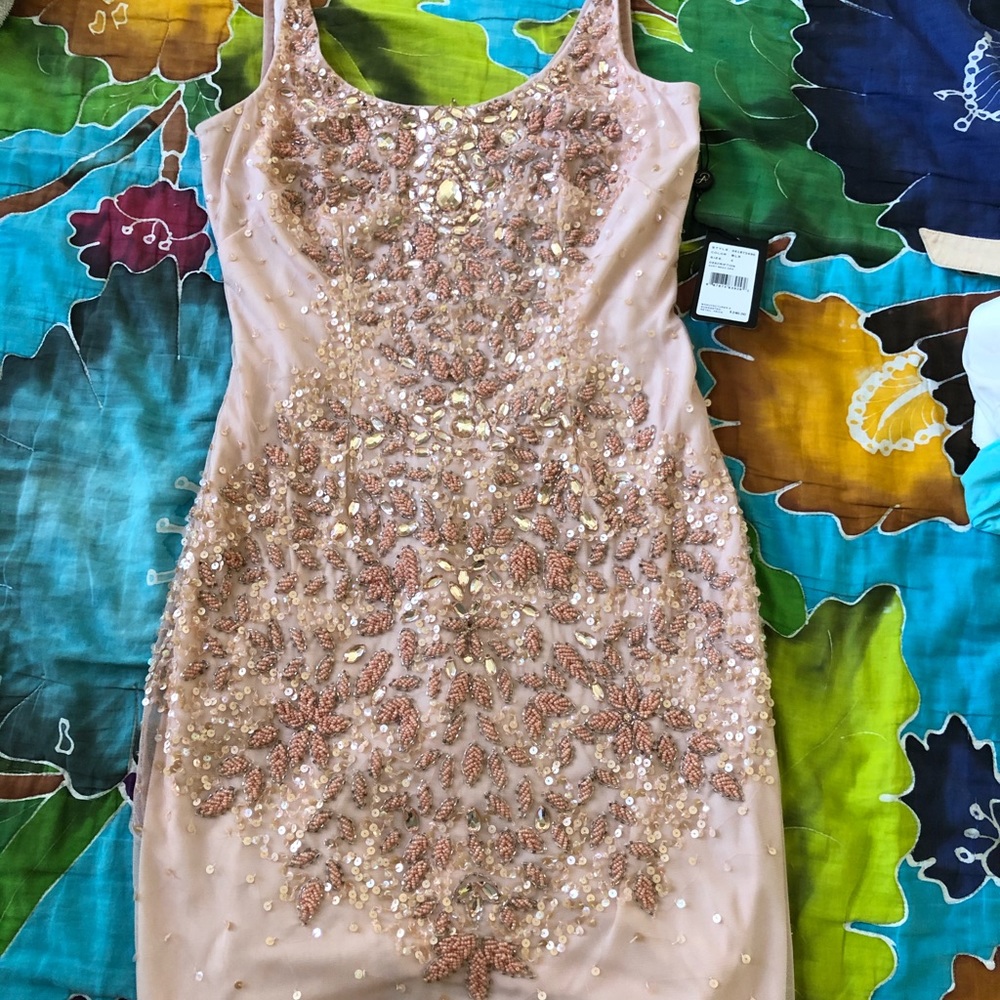 Beautiful new with tags Adrianna Papell dress